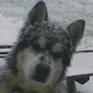 Meet your Posher, Michele